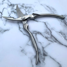 Load image into Gallery viewer, Kitchen Scissors
