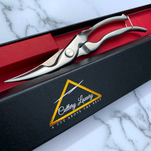 Professional Kitchen Scissors